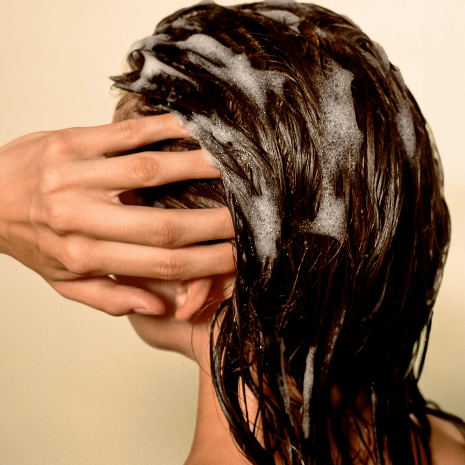 Shampoing Cheveux Fins Weightless Hydration Champú De Yucca 2 Shampoing Cheveux Fins Weightless Hydration Champú De Yucca – Image 2