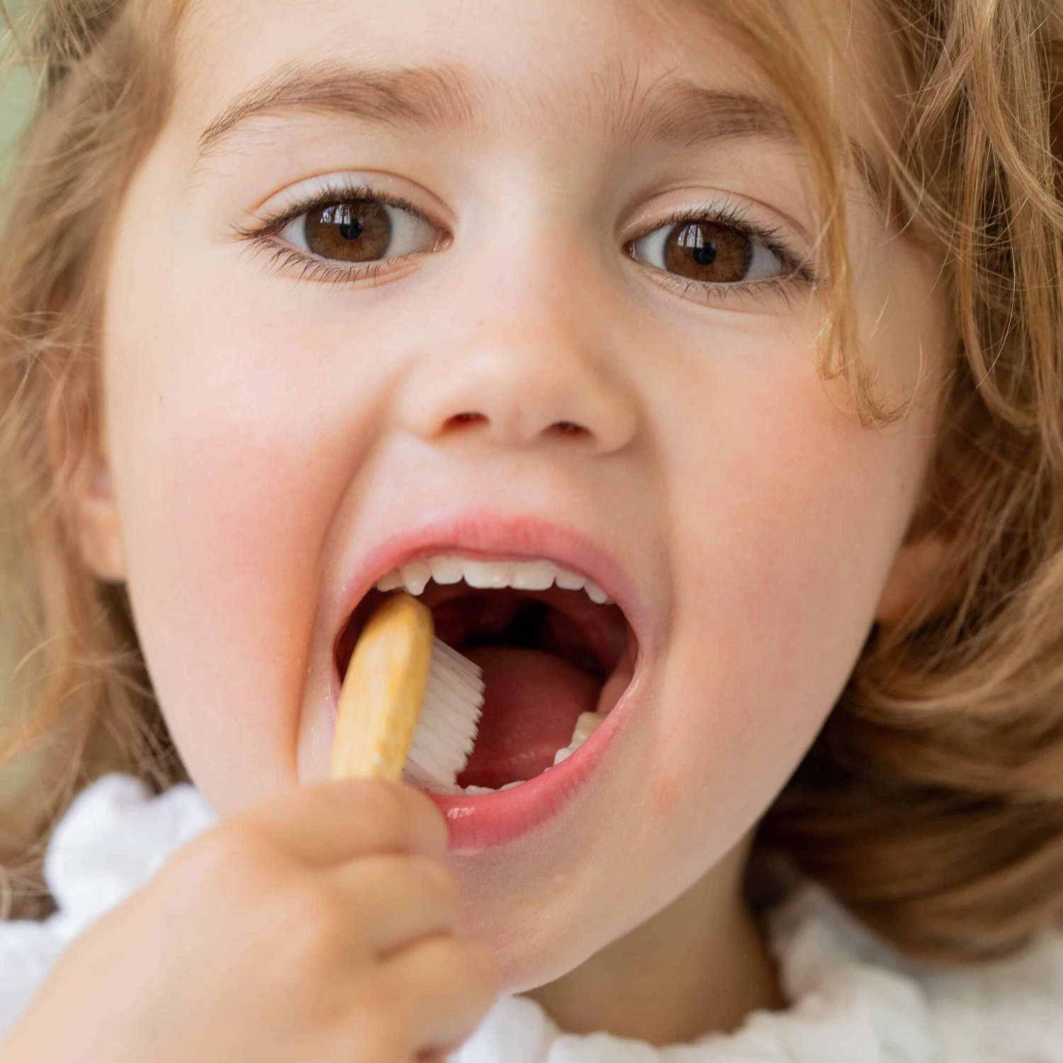 1er Dentifrice 2 1er Dentifrice – Image 2