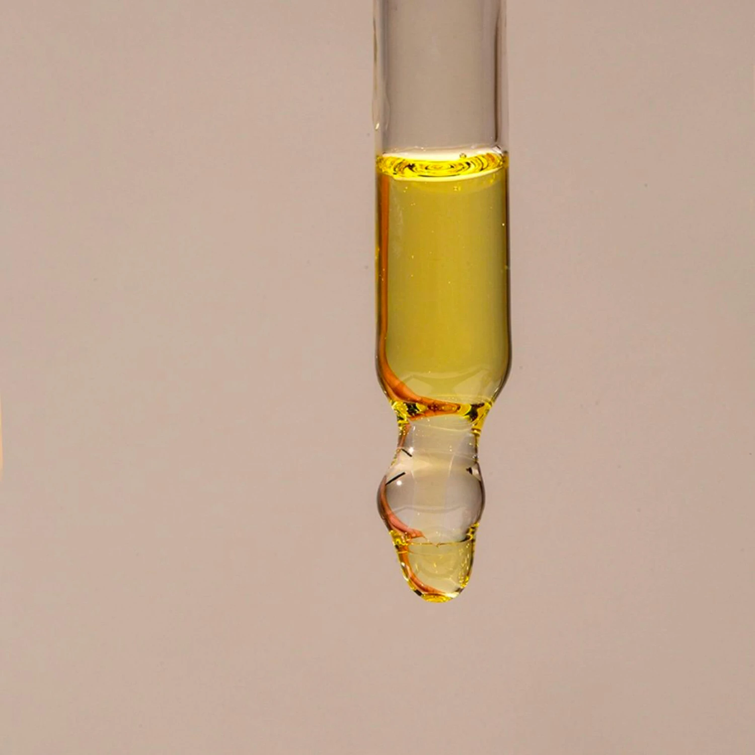 Huile De Noisette Peau Mixte 2 Huile De Noisette Peau Mixte – Image 2