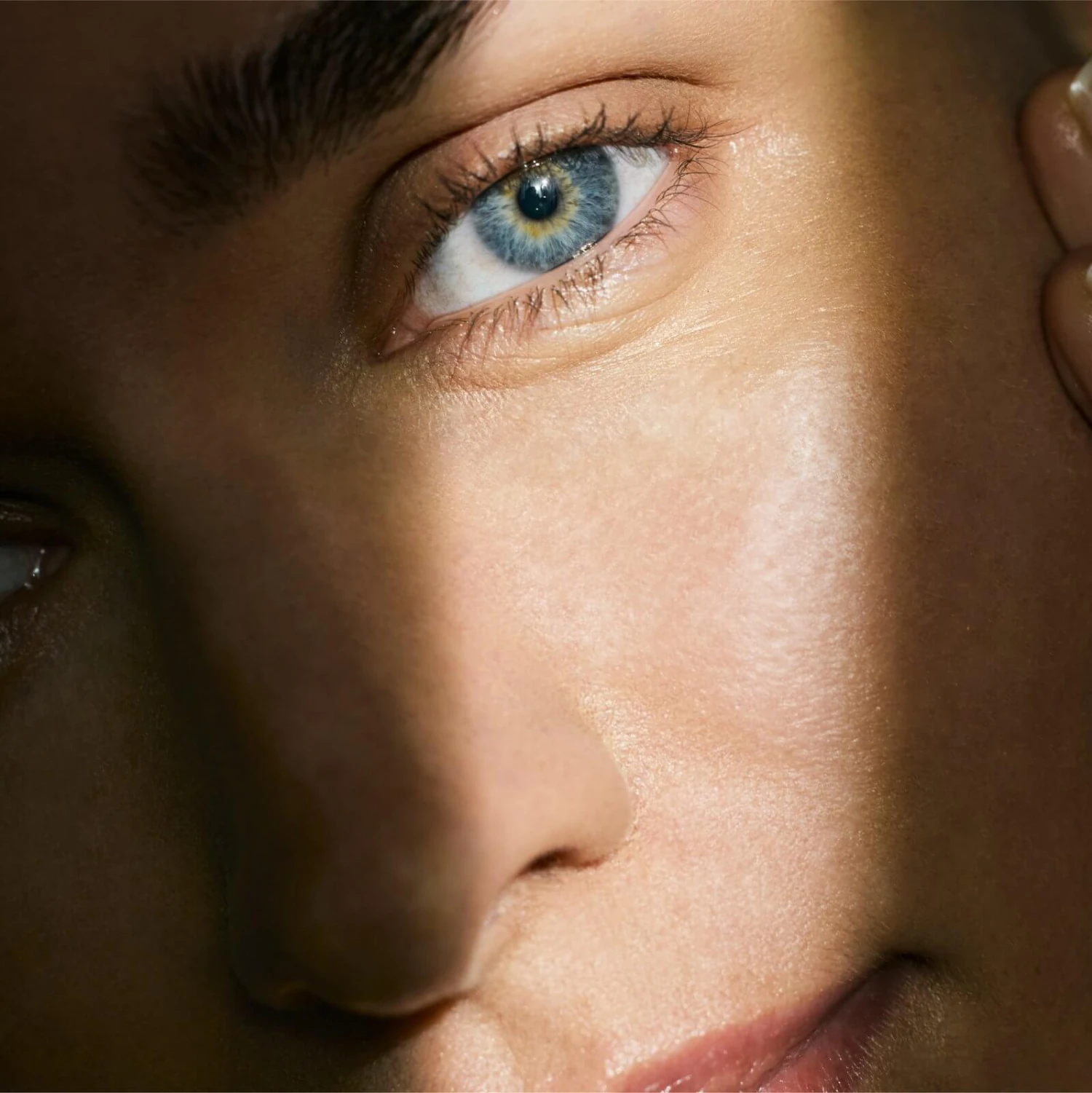 Bioeffect EGF Power Eye Cream Crème Anti-âge Pour Les Yeux 3 Bioeffect EGF Power Eye Cream Crème Anti-âge Pour Les Yeux – Image 3