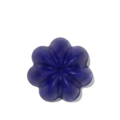 Shampoing Violet Solide