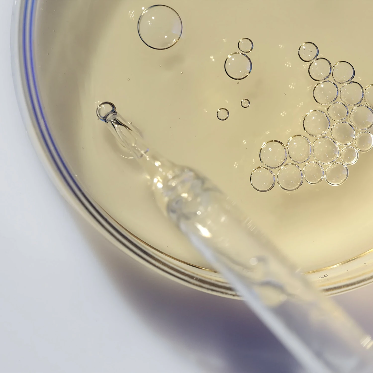 Skin Revive Sérum 2 Skin Revive Sérum – Image 2