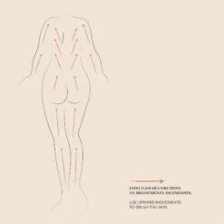 Brosse à Sec Corps 14 Brosse à Sec Corps -OH MY CREAM! 211104 OMC SCHEMAS SCHEMA BROSSE CORPS DOS TINY