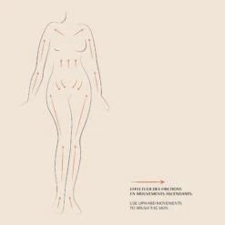 Brosse à Sec Corps 13 Brosse à Sec Corps -OH MY CREAM! 211104 OMC SCHEMAS SCHEMA BROSSE CORPS FACE TINY