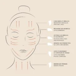 Gua Sha Visage 12 Gua Sha Visage -OH MY CREAM! 211104 OMC SCHEMAS SCHEMA GUASHA VISAGE TINY