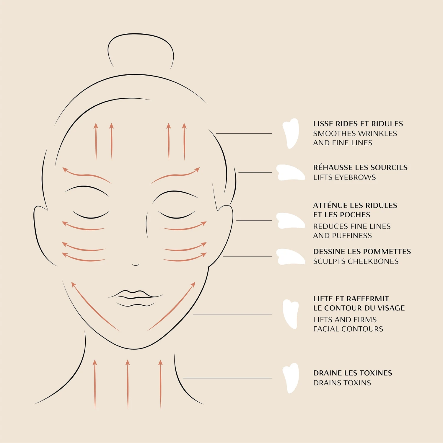 Gua Sha Visage 6 Gua Sha Visage – Image 6