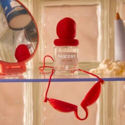 Sel à Vie 8 Sel à Vie -OH MY CREAM! FASCENT SEL A VIE 15265 NATURE MORTE carre 1